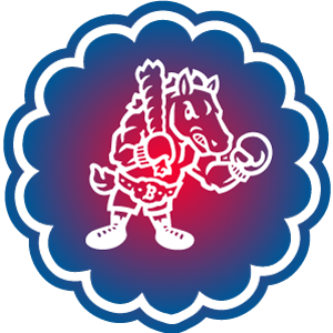 Binghamton Rumble Ponies