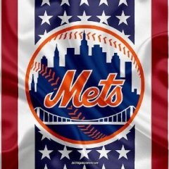 FSUMets