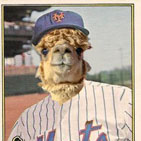 Bob Alpacadaca